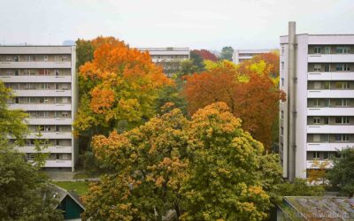 HERBST – Farben