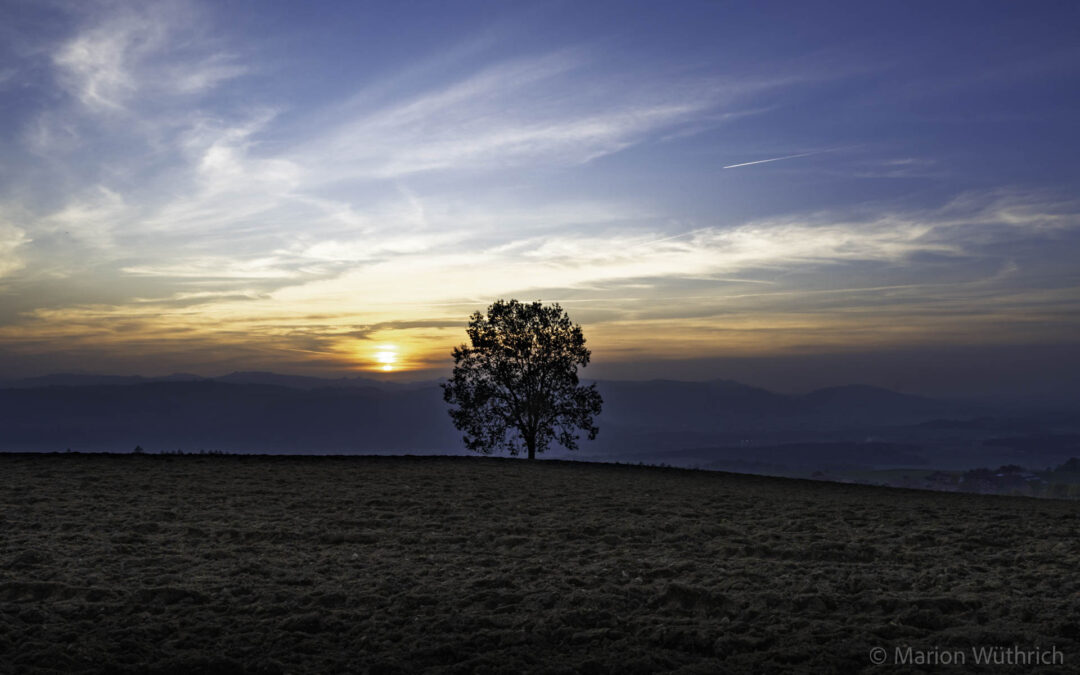 HERBST – Nebel