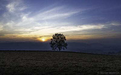 HERBST – Nebel
